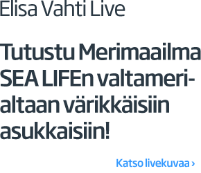 Elisa Vahti Live